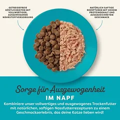 Applaws Senior drėgnas maistas katėms, ekonominė pakuotė 12 x 70 g, < 79 g — 4 nuotrauka