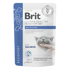 Brit GF Veterinary Diets konservai katėms Recovery 85g nuotrauka