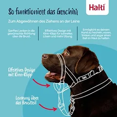 Halti galvos kamanos šunims, juodos, Dydis 3: dobermanas, labradoras, seteris — 4 nuotrauka