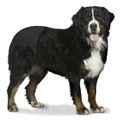 Duvo+ apsauginės kelnaitės šunims, Dideliems 26–45 kg — 2 nuotrauka