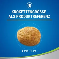 PURINA Dentalife kasdieniai dantų priežiūros skanėstai katėms, < 49 g — 5 nuotrauka