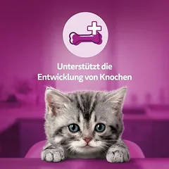 Whiskas pieno skanėstai kačiukams — 4 nuotrauka