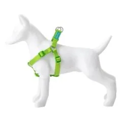 Petnešos Basic Nylon A-Type, laimo spalvos, 20 mm x 51-70 cm — 2 nuotrauka
