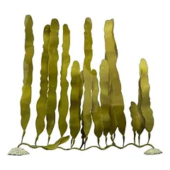 Aqua Della dirbtinis akvariumo augalas Caulerpa — 3 nuotrauka