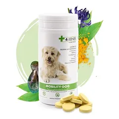 4-BEINER MOBILITY-DOG
