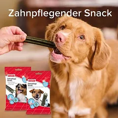 Beaphar dantų priežiūros lazdelės šunims — 5 nuotrauka