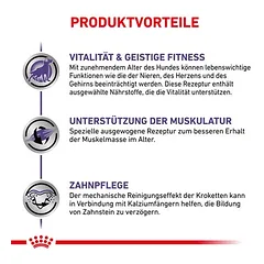 Royal Canin Expert Canine Mature Consult Small Dog sausas maistas šunims — 5 nuotrauka