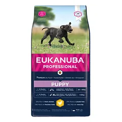 Eukanuba Puppy Large Breed Chicken sausas maistas šuniukams