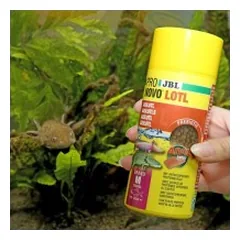 JBL ProNovo Lotl Grano M pašaras aksolotliams 250 ml — 3 nuotrauka