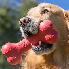 KONG Goodie Bone, KONG Goodie Bone Gr. S: ca. L 13 cm — 4 nuotrauka