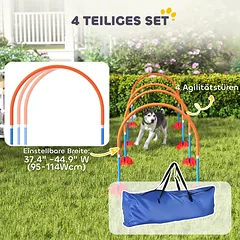 Agility rinkinys oranžinė ir mėlyna — 4 nuotrauka