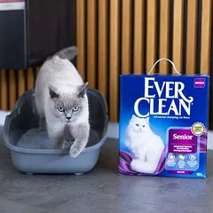 Ever Clean kietėjantis kačių kraikas Senior, Ekonominė pakuotė: 2 x 10 l — 3 nuotrauka