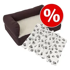 Sparpaket: Das Orthopädische Hundebett eckig + Kuscheldecke Paws