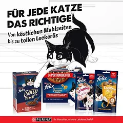Felix "Sensations" Pouches 24 x 85 g