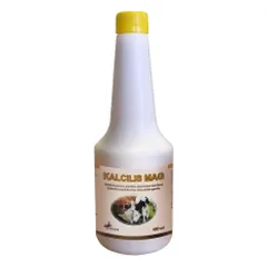 Ruvera Kalcilis Mag