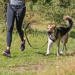 Trixie Waist Belt With Leash diržas su pavadėliu bėgimui, juoda, vidutiniams ir dideliems šunims, 75-120 cm, pavadėlis 1.20-1.50 m