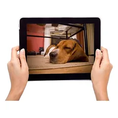 EYENIMAL PET VISION LIVE FULL HD kamera, apie L 13 x B 13 x H 12 cm — 4 nuotrauka