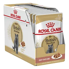 Royal Canin British Shorthair konservai katėms padaže