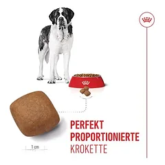 Royal Canin Giant Junior — 5 nuotrauka