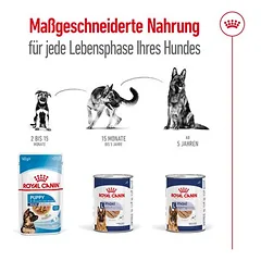 Royal Canin Maxi Ageing Mousse drėgnas maistas šunims — 5 nuotrauka