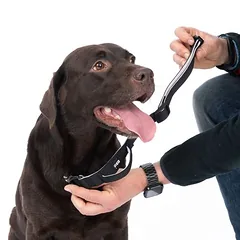 TIAKI saugos antkaklis, Vidutiniams 11–25 kg — 3 nuotrauka