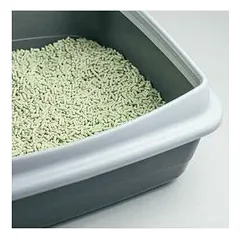 CAT&RINA Tofu Green Tea 5.5Lt — 4 nuotrauka
