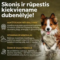 Visų veislių suaugusių šunų šlapias pašaras su vištiena, 500 g | 1 — 3 nuotrauka