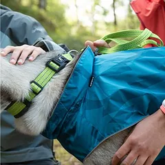 Icepeak Pet antkaklis šunims Grand X, laimo spalvos, Vidutiniams 11–25 kg — 4 nuotrauka