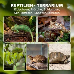 Terariumas ropliams, 30 × 30 × 30 cm — 4 nuotrauka