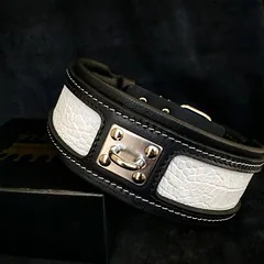 Bestia Hundehalsband Reptil