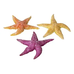 Aqua Della Aquarium Dekoration Real Sea Star