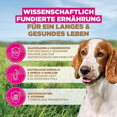 Eukanuba Grain Free Senior Small & Medium su jūrų žuvimi, sausas maistas šunims, 3 - 4,9 kg — 4 nuotrauka