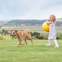 Kerbl Pet žaidimo kamuoliukas šunims, Dideliems 26–45 kg — 3 nuotrauka