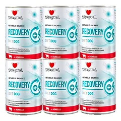 Disugual Veterinary RECOVERY Lamb drėgnas ėrienos ėdalas šunims (suaugusiems) 6x400g