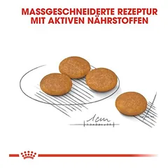 Royal Canin Mini Dermacomfort sausas maistas šunims, 3 - 4,9 kg — 3 nuotrauka