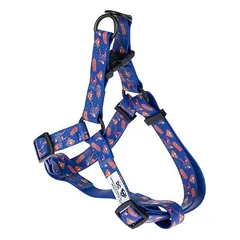 DC Superman Geschirr, blau