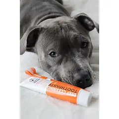 DOGSLIFE dantų pasta šunims, 100 g — 3 nuotrauka