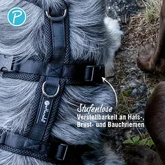 Petlando Mesh saugos petnešos, juodos, Labai dideliems > 45 kg — 3 nuotrauka