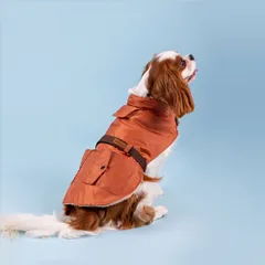 Amiplay Coat Bled oranžinis paltas šuniui, 23 cm — 5 nuotrauka