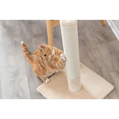 TRIXIE Baena draskyklė stulpas katėms, 69 cm, smėlio — 4 nuotrauka
