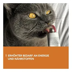 GimCat Energy Paste — 3 nuotrauka