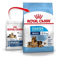 Royal Canin Maxi Starter 15 kg