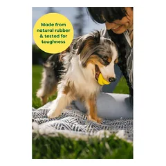 Earth Rated Fetch Toy gumos žaislas šunims, dydis S — 5 nuotrauka