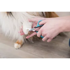 Trixie Face And Paw Scissors žirklės veido ir letenėlių kailio kirpimui, 9 cm — 2 nuotrauka