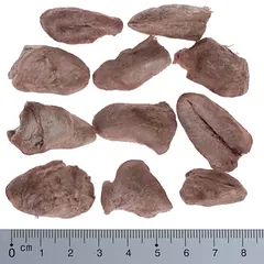 Wolf of Wilderness RAW skanėstai šunims (liofilizuoti), 50 - 79 g — 2 nuotrauka