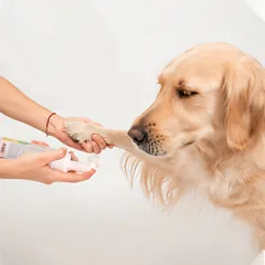 Nobleza šampūnas pėdutėms su šepetėliu — 5 nuotrauka