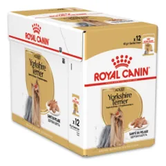 Royal Canin Yorkshire Terrier Adult drėgnas maistas Jorkšyro terjerų veislės šunims, 85 g