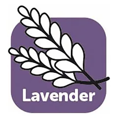 Flamingo Lavender Shampoo šampūnas šunims su levandomis, nuo vabzdžių, 300 ml — 2 nuotrauka