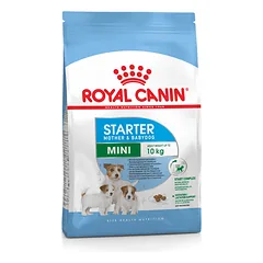 Royal Canin Mini Starter sausas ėdalas mažų veislių kalėms ir šuniukams, 8 kg