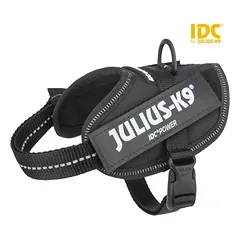 Julius-K9 petnešos mažam šuniui 33–45 cm/18 mm